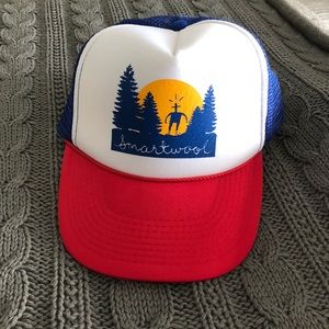 Smartwool snapback hat